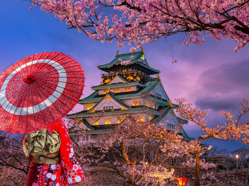 Comfort Japonya Turu Etihad Hava Yolları ile 6 gece Ekstra Turlar Dahil 2026 Dönemi NRT-KIX