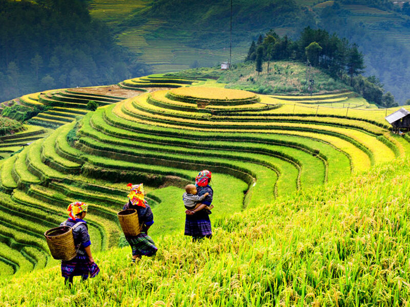 Görkemli Tropik Asya İkilisi Vietnam & Kamboçya - THY ile 27 Haziran (2026 Yaz Dönemi) AT1319