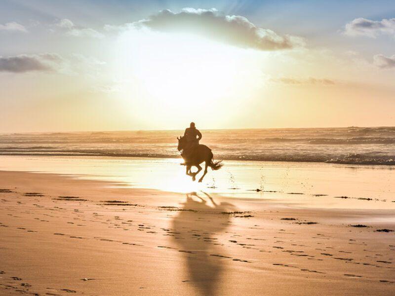 Comfort Fas & Sahra Çölü Turu (Çölde Kamp Konaklamalı) THY ile 7  Gece - Ekstra Turlar ve Akşam Yemekli 2026 Dönemi