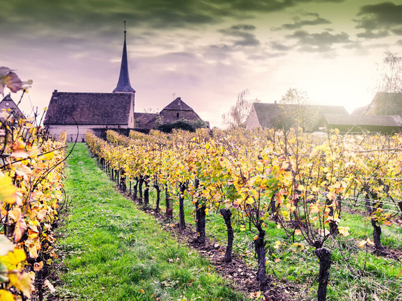 Comfort Alsace İsviçre Turu Türk Hava Yolları ile 3 Gece Ekstra Turlar Kasım Ara Tatil Dönemi BSL-BSL 