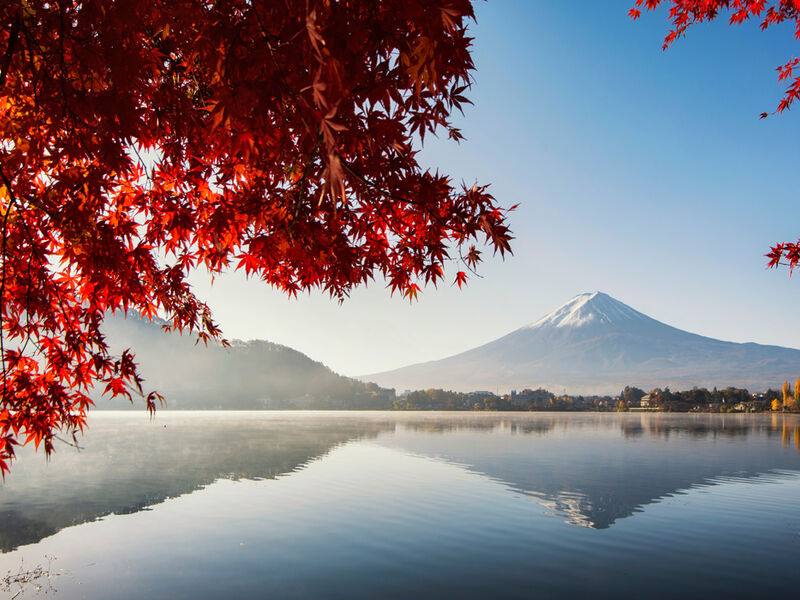 Comfort Japonya & Kore Turu Türk Hava Yolları ile 8 Gece Ekstra Turlar ve Çay Seremonisi Dahil ICN-KIX 2026