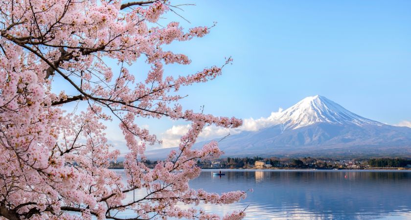 İzmir Çıkışlı Sakura Zamanında Büyük Japonya & Kore Tüm Turlar Dahil